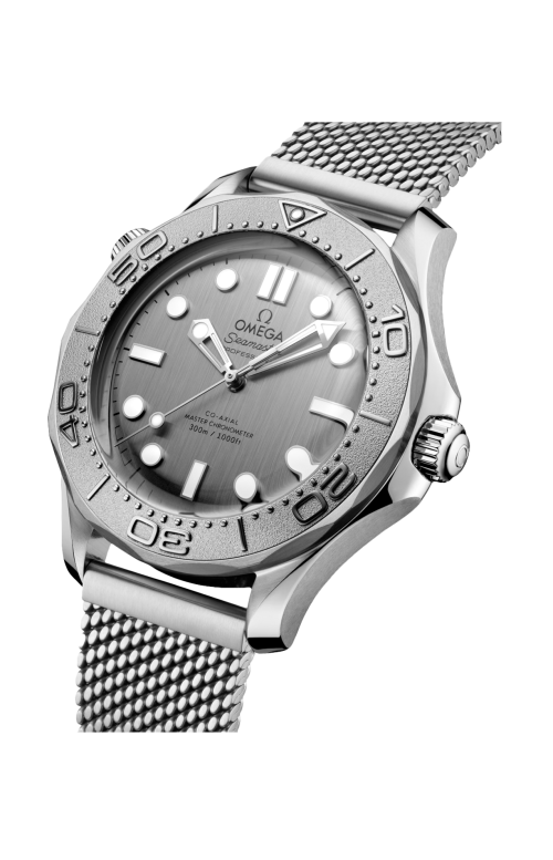 SEAMASTER DIVER 300M 42 MM, ACCIAIO SU ACCIAIO - 210.30.42.20.06.002