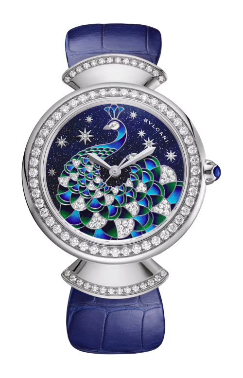 DIVAS' DREAM OROLOGIO - DVW37PAGDL