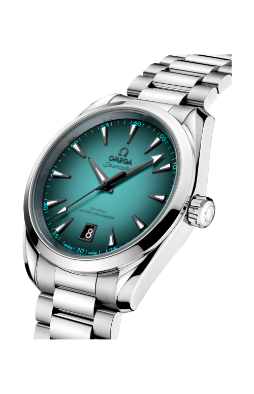 SEAMASTER ACQUA TERRA 150M 38 MM, ACCIAIO SU ACCIAIO - 220.10.38.20.03.005