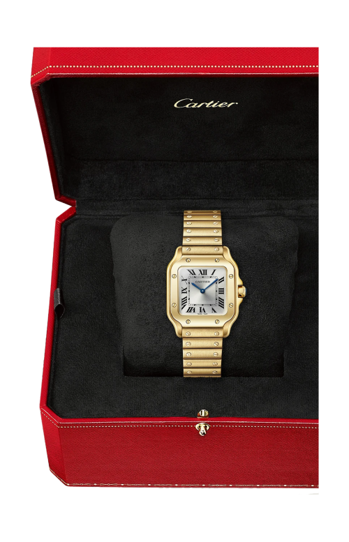 Accedi al prodotto correlato Cartier SANTOS DE CARTIER MODELLO PICCOLO, ORO GIALLO, QUARZO - WGSA0107