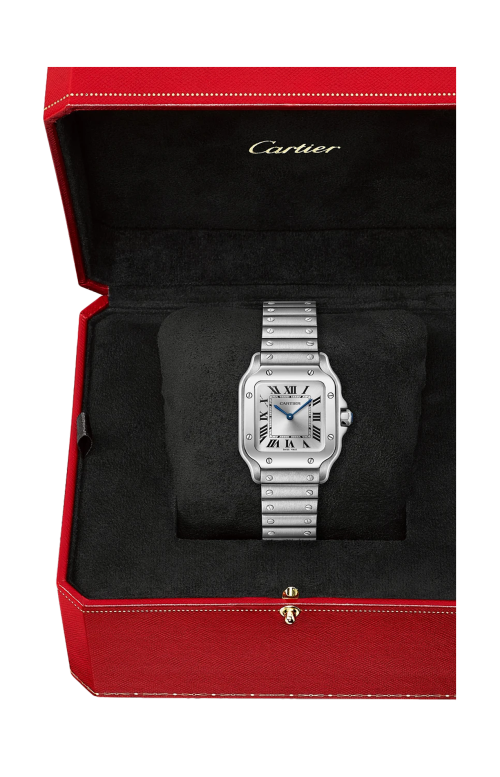 Accedi alla scheda di Cartier SANTOS DE CARTIER MODELLO PICCOLO, ACCIAIO, QUARZO - WSSA0082
