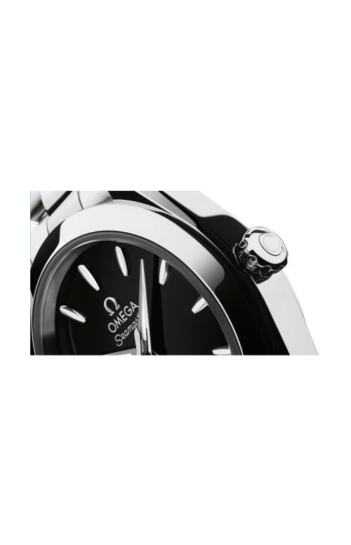 Accedi al prodotto correlato Omega SEAMASTER AQUA TERRA 150M 30 MM, ACCIAIO SU ACCIAIO - 220.10.30.20.01.001