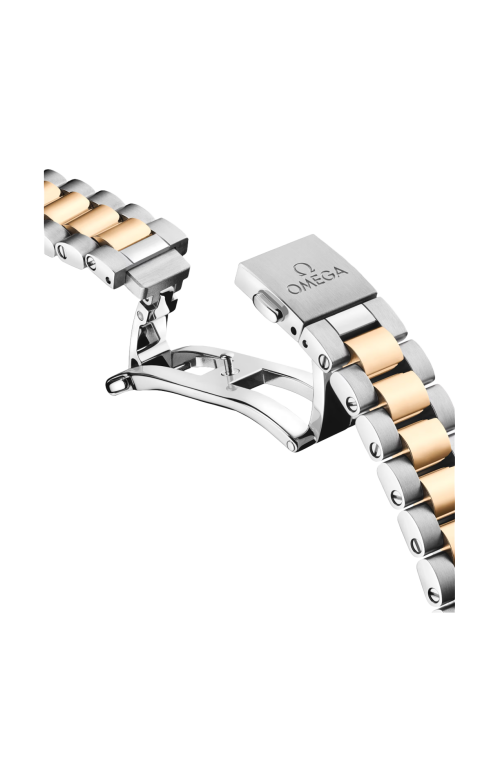 Accedi alla scheda di Omega SEAMASTER AQUA TERRA 150M 30 MM, ACCIAIO-ORO MOONSHINE&trade; SU ACCIAIO-ORO MOONSHINE&trade; - 220.25.30.20.55.001