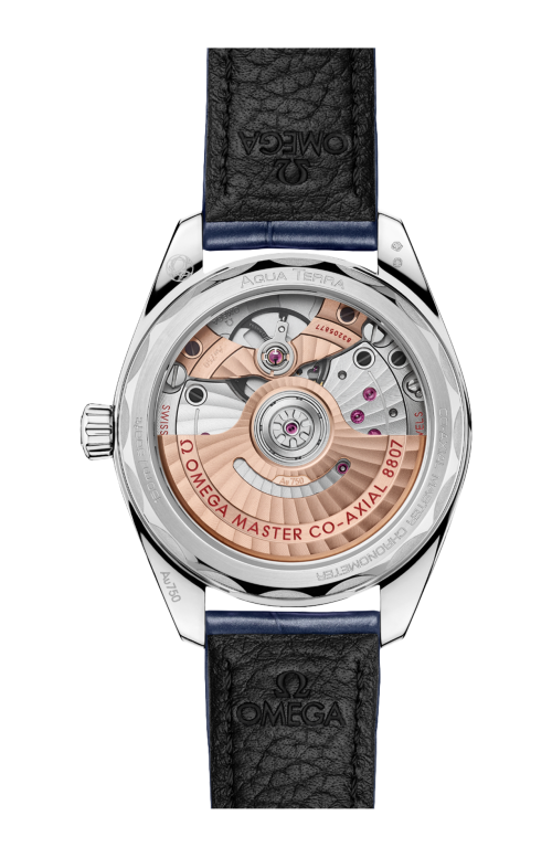 Accedi alla scheda di Omega SEAMASTER AQUA TERRA 150M 34 MM, ORO CANOPUS GOLD&trade; SU PELLE - 220.58.34.20.99.007