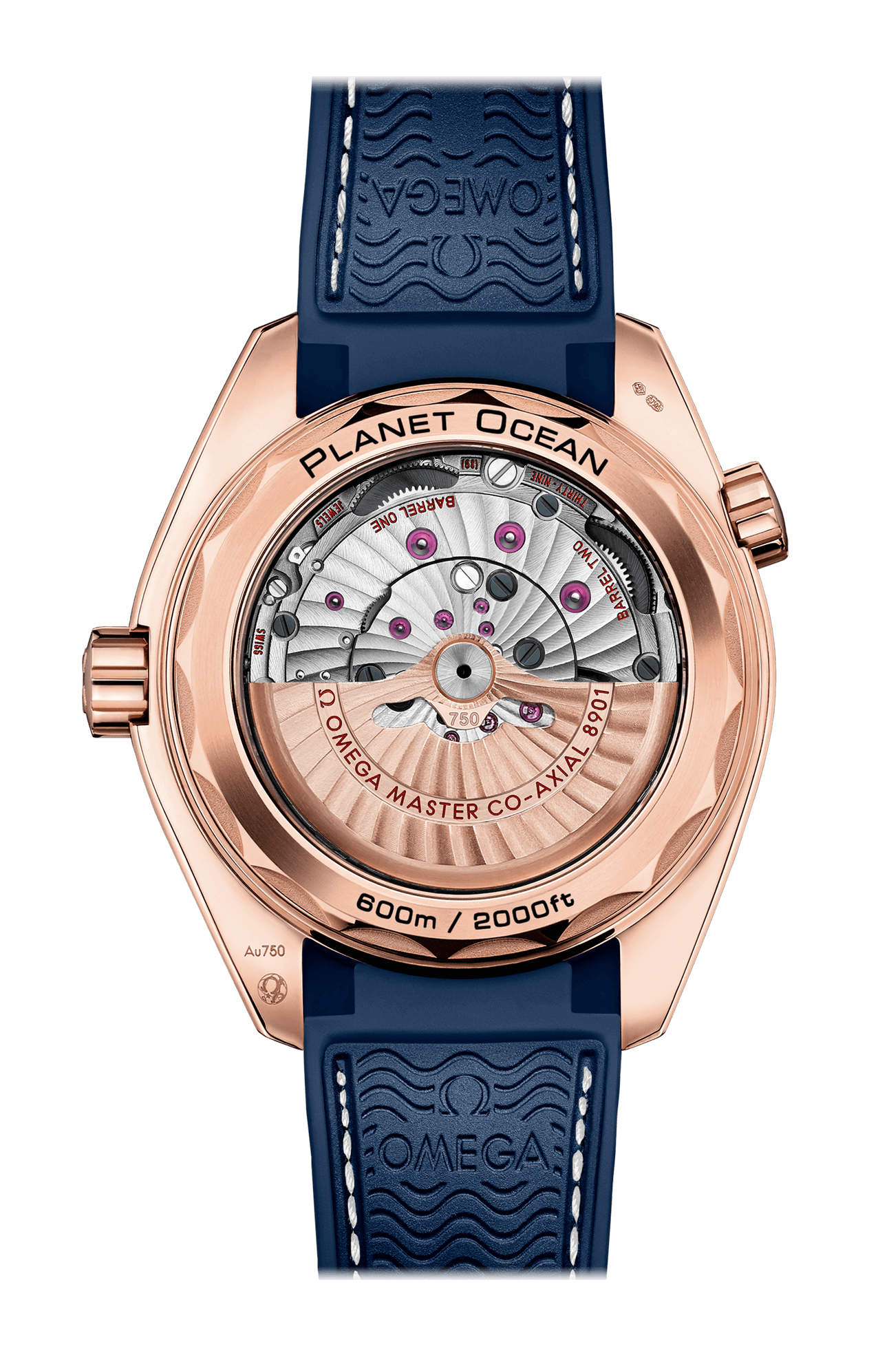 PLANET OCEAN 600M OMEWGA CO-AXIAL MASTER CHRONOMETER - 215.63.44.21.03.001