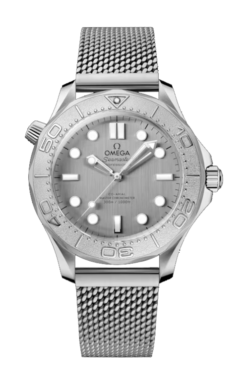 SEAMASTER DIVER 300M 42 MM, ACCIAIO SU ACCIAIO - 210.30.42.20.06.002