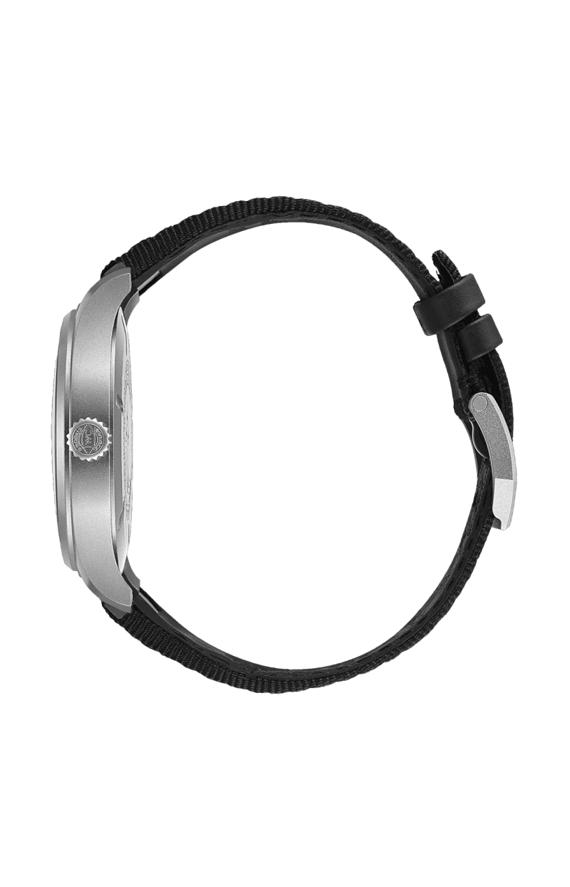 Iwc Schaffhausen | PILOT'S WATCH MARK XX PATROUILLE SUISSE - LIMITED EDITION - IW328209 (4)