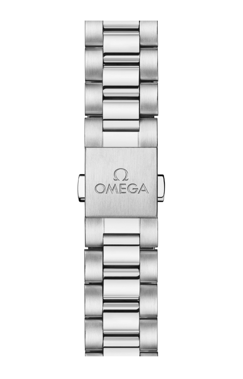 Omega | SEAMASTER ACQUA TERRA SHADES 38 MM, ACCIAIO SU ACCIAIO - 220.10.38.20.10.005 (4)