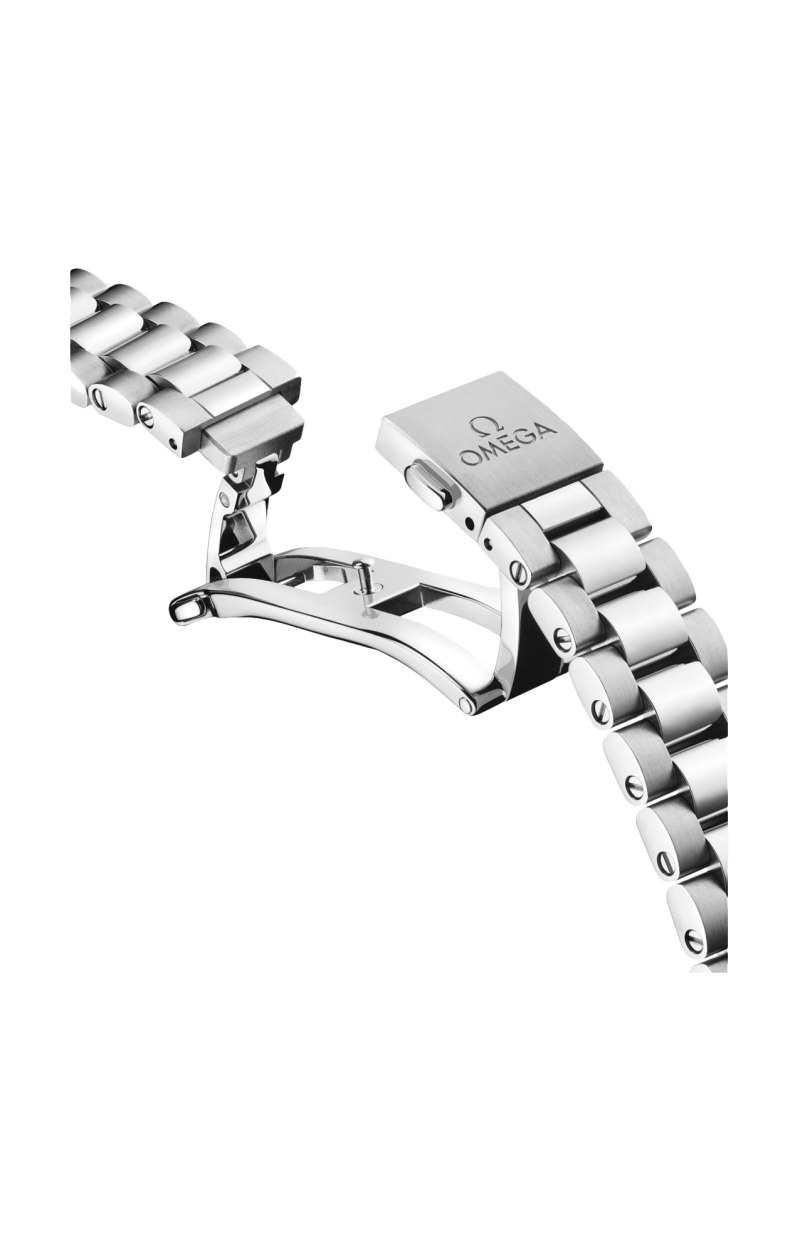 Omega | SEAMASTER ACQUA TERRA SHADES 38 MM, ACCIAIO SU ACCIAIO - 220.10.38.20.10.005 (5)