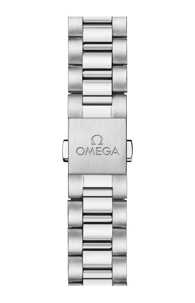 Omega | SEAMASTER ACQUA TERRA SHADES 38 MM, ACCIAIO SU ACCIAIO - 220.10.38.20.10.004 (4)