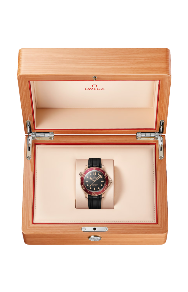 Omega | SEAMASTER DIVER 300M 42 MM, BRONZE GOLD SU CAUCCI&Ugrave; - 210.92.42.20.01.003 (3)