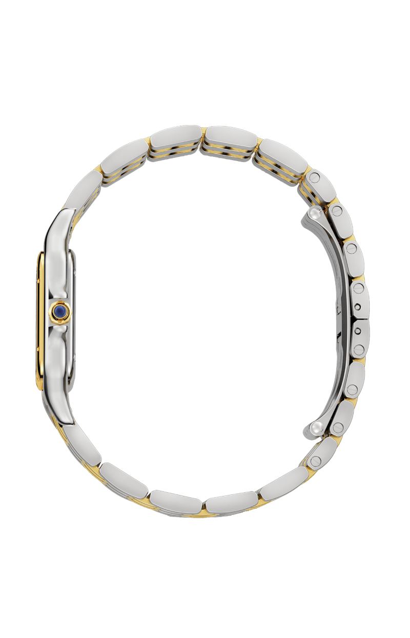 Cartier | PANTH&Egrave;RE DE CARTIER MODELLO MEDIO, ORO GIALLO, ACCIAIO, QUARZO - W2PN0019 (4)