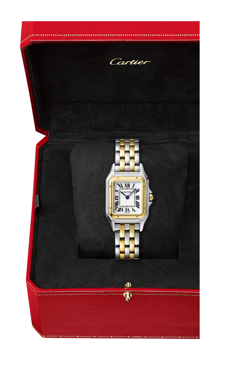 Cartier | PANTH&Egrave;RE DE CARTIER MODELLO MEDIO, ORO GIALLO, ACCIAIO, QUARZO - W2PN0019 (5)