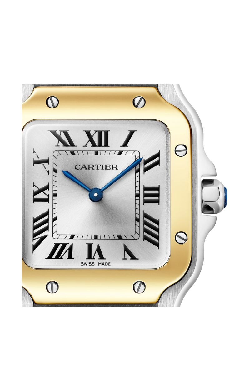 Cartier | SANTOS DE CARTIER MODELLO PICCOLO, ACCIAIO E ORO GIALLO, QUARZO - W2SA0033 (4)