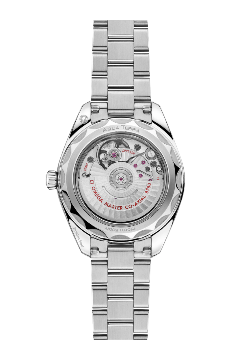 Omega | SEAMASTER AQUA TERRA 150M 30 MM, ACCIAIO SU ACCIAIO - 220.10.30.20.03.001 (2)