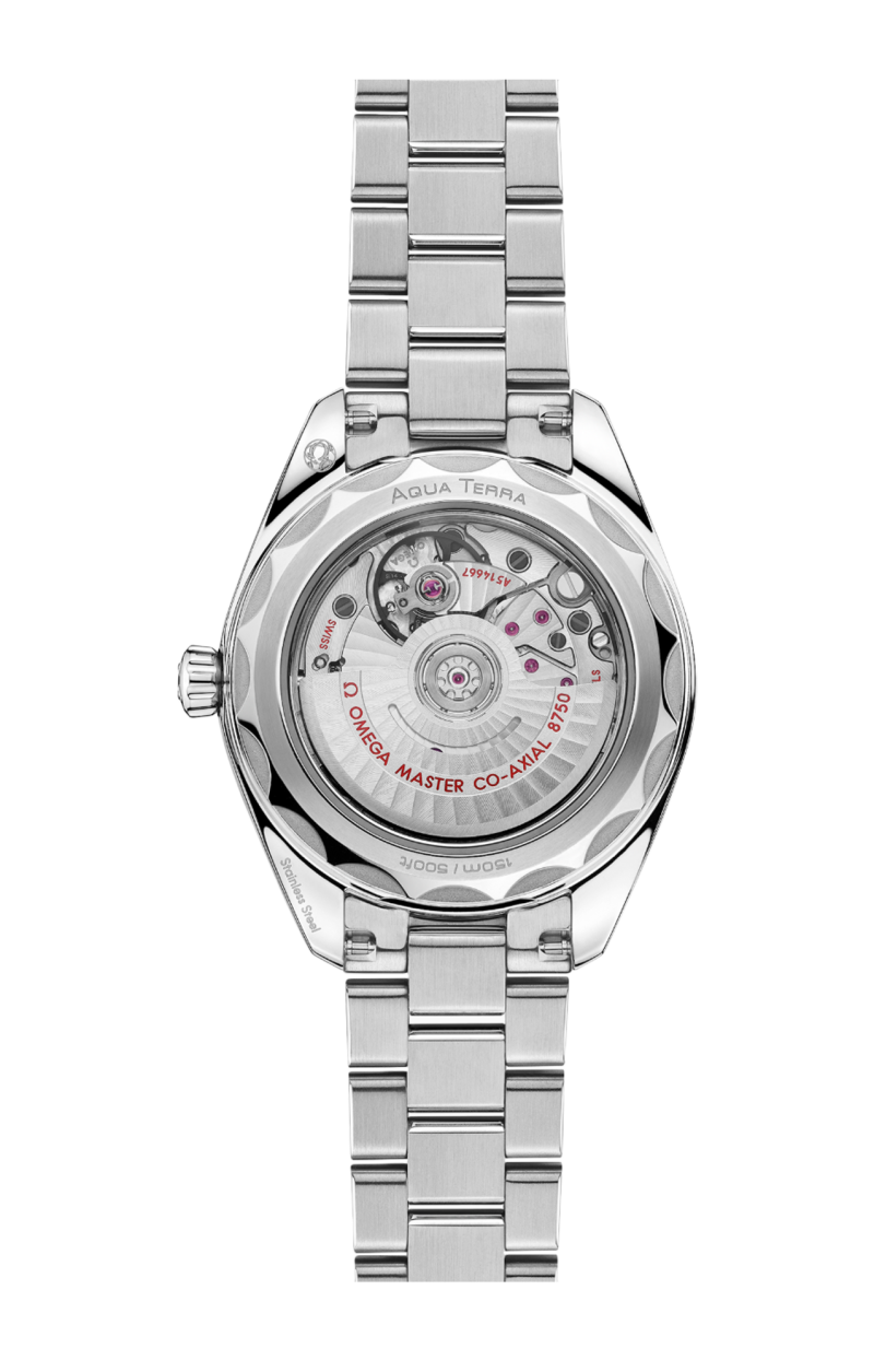 Omega | SEAMASTER AQUA TERRA 150M 30 MM, ACCIAIO SU ACCIAIO - 220.15.30.20.56.001 (2)