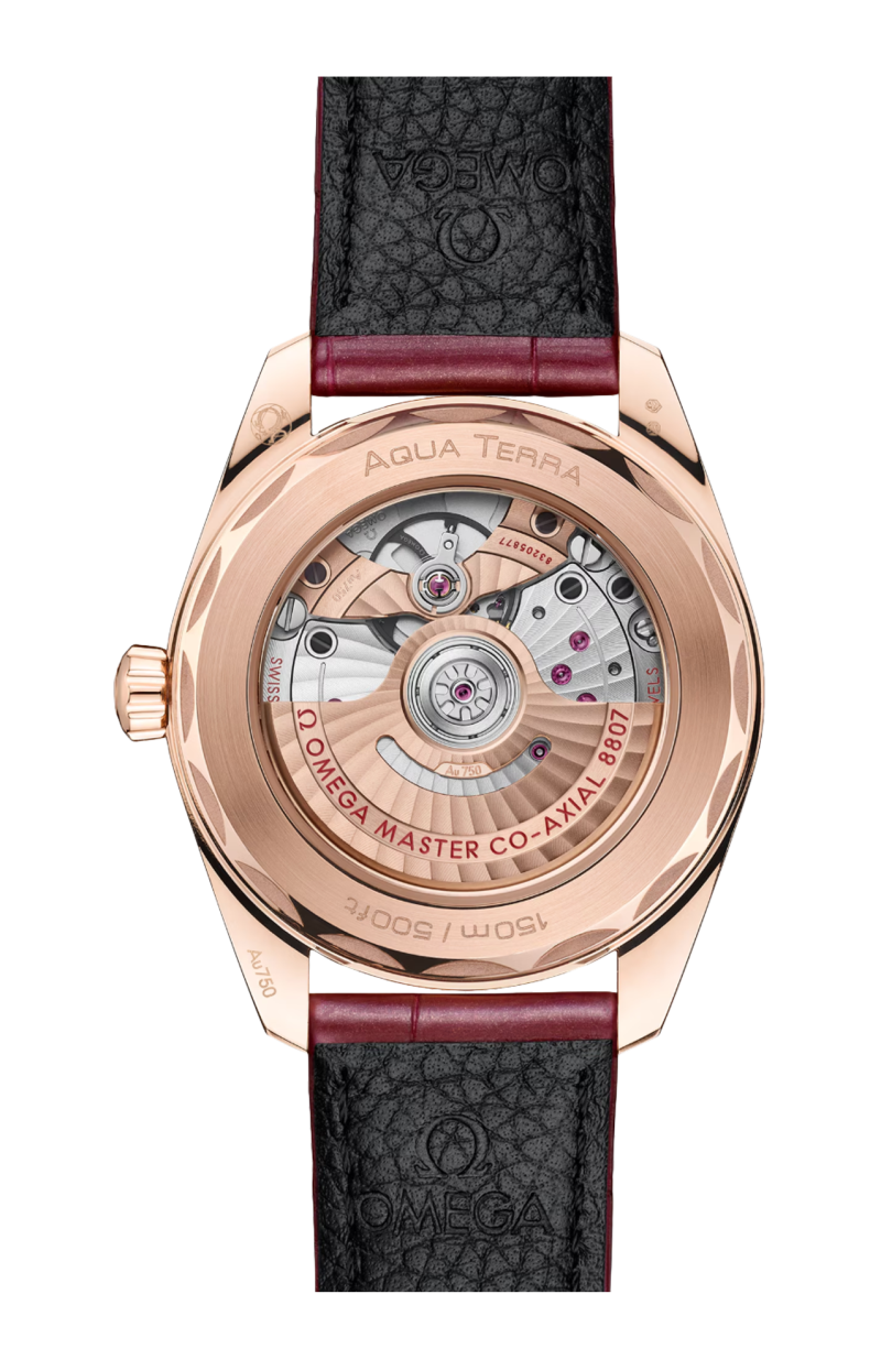 Omega | SEAMASTER AQUA TERRA 150M 38 MM, ORO SEDNA&trade; SU PELLE - 220.58.38.20.99.007 (2)