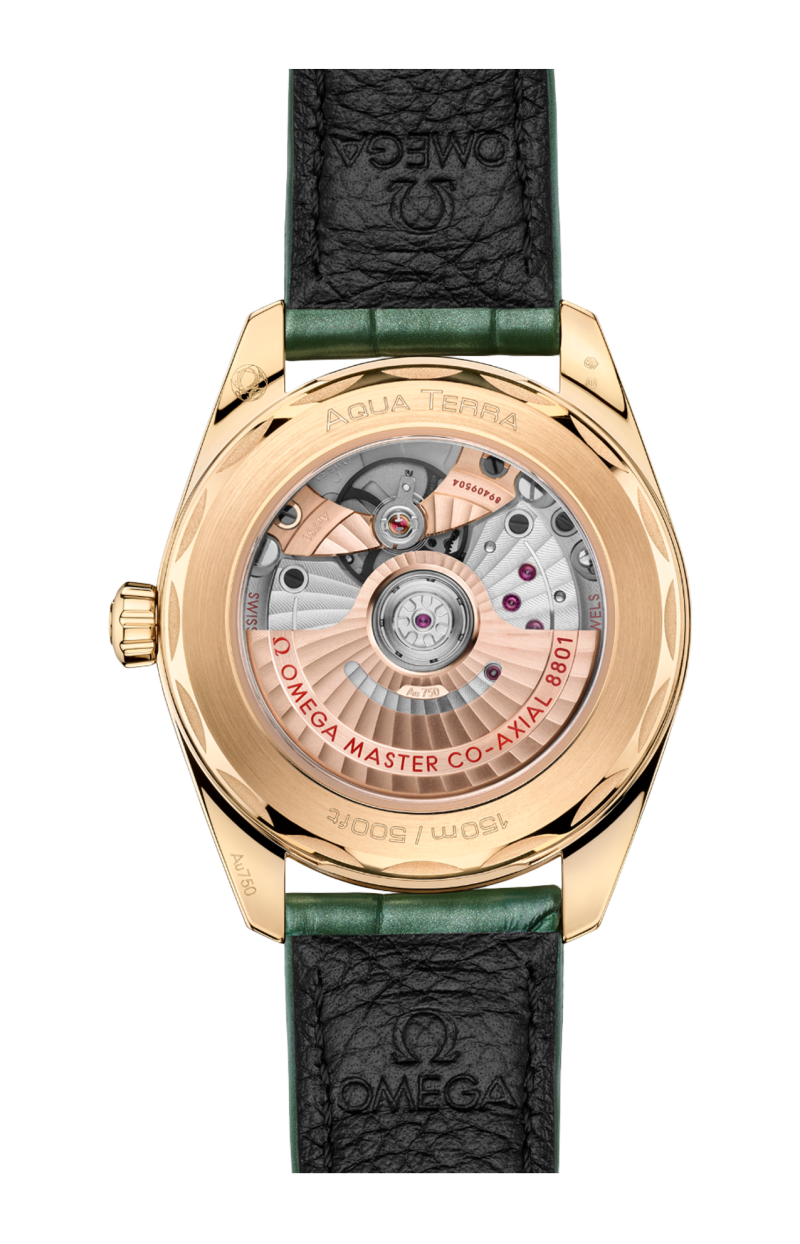 Omega | SEAMASTER AQUA TERRA SHADES 38 MM, ORO MOONSHINE&trade; SU PELLE - 220.53.38.20.10.001 (2)