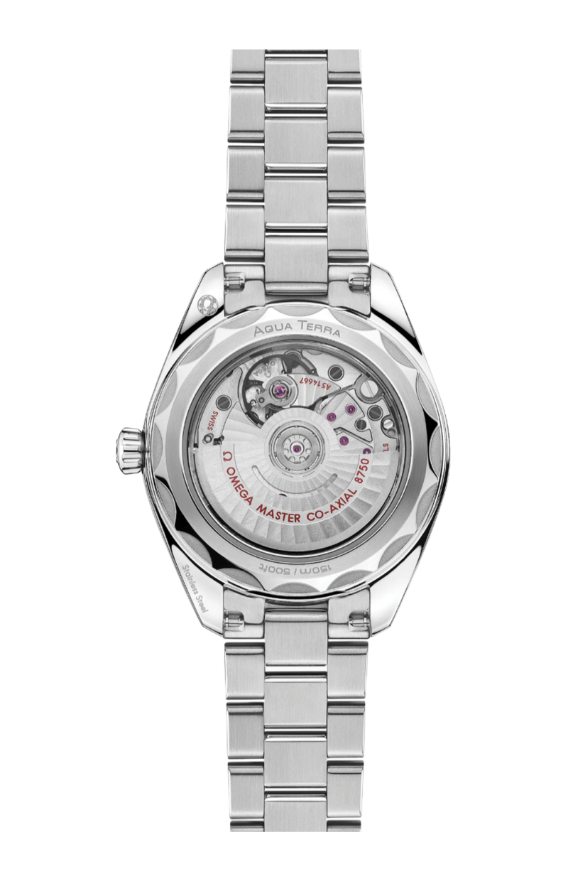 Omega | SEAMASTER AQUA TERRA 150M30 MM, ACCIAIO SU ACCIAIO - 220.10.30.20.60.001 (2)